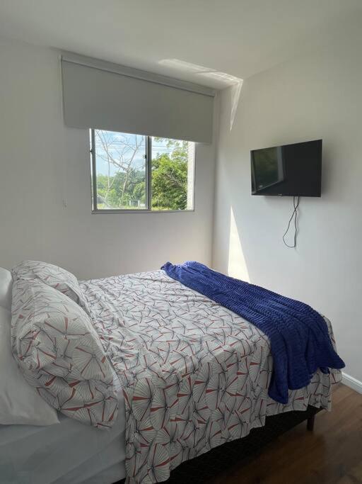 Apartamento Ape Sonho Meu.